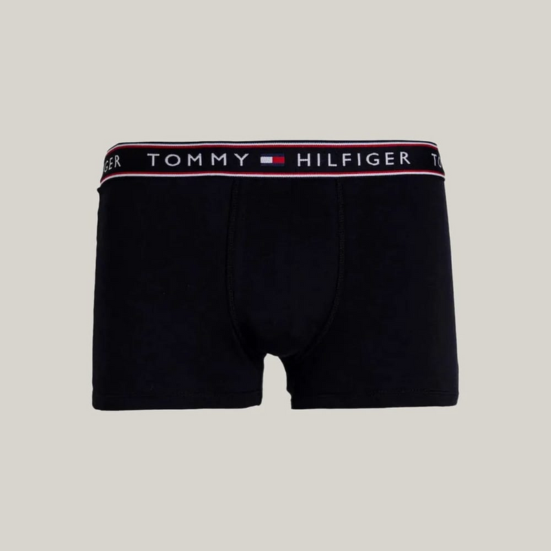 Kit 5 Camisetas Tommy Hilfiger + 3UN Cuecas Boxer de Brinde
